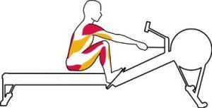 Rowing Machine Abs Catch