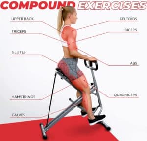 Squat Assist Row and Ride Muscles Targeted